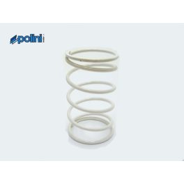   POLINI - KUPLUNGPOFA KONTRASZTRUGÓ YAMAHA 50 2T / APRILIA 50 2T / MALAGUTI 50 2T /  CPI 50 2T / KEEWAY 50 2T / YAMAHA 50 4T / BENELLI 50 2T