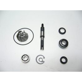  Vízpumpa Felújító Szett Honda Pantheon 125-150 4T / Honda Sh 125 4T 01-05 / Sh 150 4T 01-08 Chiocciola 125-150 4T 00-06 / Dylan 125-150 4T - Rms
