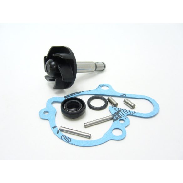 RMS - Vízpumpa Felújító Szett MINARELLI AM6 / AM3/4/5 / Aprilia RS 50 / RX 50 / Gas- Gas RR50 / MBK X-Limit 50 / X-Power 50 / X-Supermotard 50 / Peugeot XP6 50 / XPS 50 / XR6 50 / Rieju MRX 50 / RR 50 / RS-1 50 / RS-2 50 / SMX 50 / Yamaha DT 50 / T