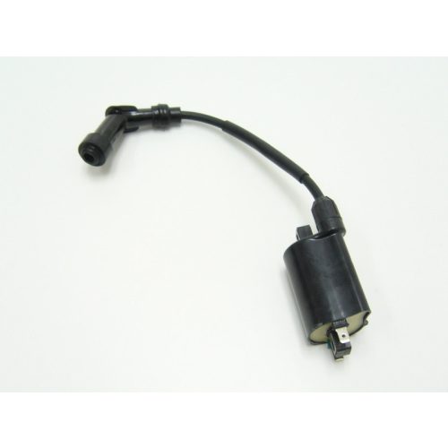 Gyújtótrafó Aprila Leonardo 125-150  1996-2001 / Kymco Grand Dink 250 2001-04 / Malaguti Madison 250 1999-01 /  Yamaha Majesty 250 1996-2003 - Rms