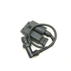 Cdi Piaggio Zip 50 4T  -  Tiltás Nélküli - Rms