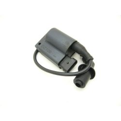 Cdi Piaggio Zip 100   4T  - Rms