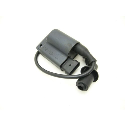 Cdi Piaggio Zip 100   4T  - Rms