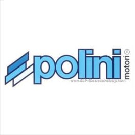 Polini